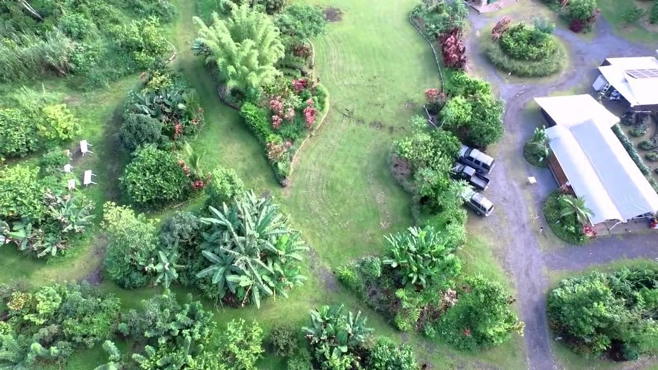 Villa Hawaiian Sanctuary Eco Retreat Center Pahoa Esterno foto